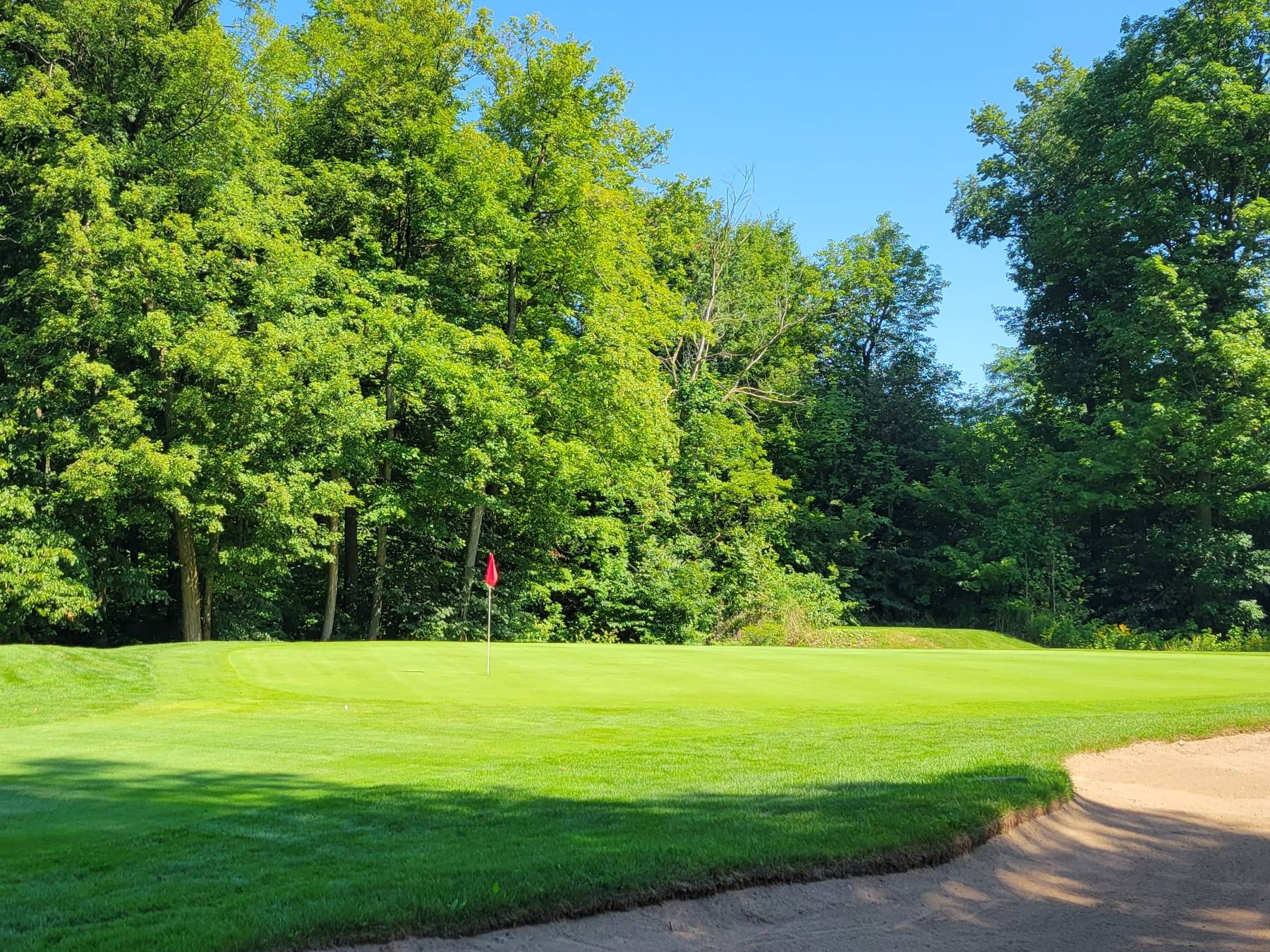 12 from bunker resized